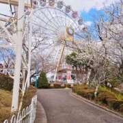 ヒメ日記 2025/04/27 11:48 投稿 あおば　奥様 SUTEKIな奥様は好きですか?