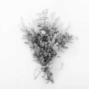 ヒメ日記 2025/05/07 05:27 投稿 あおば　奥様 SUTEKIな奥様は好きですか?