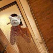 ヒメ日記 2025/06/23 18:09 投稿 あおば　奥様 SUTEKIな奥様は好きですか?