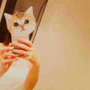 ヒメ日記 2025/06/24 15:03 投稿 あおば　奥様 SUTEKIな奥様は好きですか?