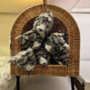 ヒメ日記 2025/09/14 18:48 投稿 あおば　奥様 SUTEKIな奥様は好きですか?