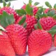 ヒメ日記 2025/04/04 16:49 投稿 いつき 完熟ばなな八王子