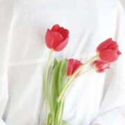 ヒメ日記 2025/04/17 11:49 投稿 いつき 完熟ばなな八王子