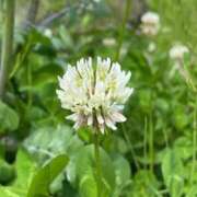 ヒメ日記 2025/05/09 12:34 投稿 いつき 完熟ばなな八王子