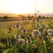 ヒメ日記 2025/05/13 12:29 投稿 いつき 完熟ばなな八王子