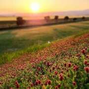 ヒメ日記 2025/05/13 21:59 投稿 いつき 完熟ばなな八王子