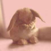 ヒメ日記 2025/06/20 17:29 投稿 いつき 完熟ばなな八王子