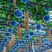 ヒメ日記 2025/07/08 14:29 投稿 いつき 完熟ばなな八王子