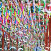 ヒメ日記 2025/08/20 19:38 投稿 いつき 完熟ばなな八王子