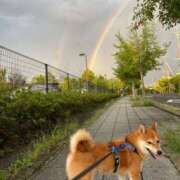 ヒメ日記 2025/09/15 19:59 投稿 いつき 完熟ばなな八王子