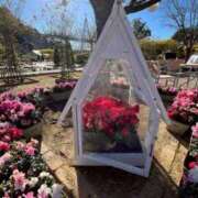 いつき 完熟ばなな八王子店　いつきです🤗 完熟ばなな八王子