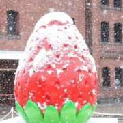 ヒメ日記 2026/02/19 12:59 投稿 いつき 完熟ばなな八王子