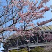 ヒメ日記 2026/04/01 12:39 投稿 いつき 完熟ばなな八王子