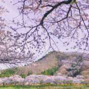 ヒメ日記 2025/04/07 22:19 投稿 さやか　奥様 SUTEKIな奥様は好きですか?