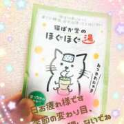 ヒメ日記 2025/04/30 23:57 投稿 ほのか　奥様 SUTEKIな奥様は好きですか?