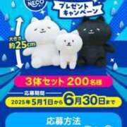 ヒメ日記 2025/05/20 15:48 投稿 ほのか　奥様 SUTEKIな奥様は好きですか?