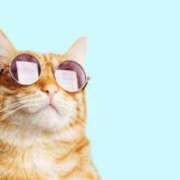 ヒメ日記 2025/08/08 09:10 投稿 ほのか　奥様 SUTEKIな奥様は好きですか?