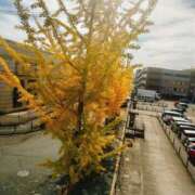 ヒメ日記 2025/11/05 22:48 投稿 ほのか　奥様 SUTEKIな奥様は好きですか?