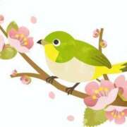 ヒメ日記 2026/02/04 16:34 投稿 ほのか　奥様 SUTEKIな奥様は好きですか?