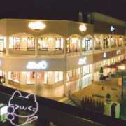 ヒメ日記 2026/03/23 22:12 投稿 ほのか　奥様 SUTEKIな奥様は好きですか?