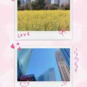 ヒメ日記 2025/03/24 00:00 投稿 結城 愛 白夜