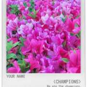 ヒメ日記 2025/05/25 00:26 投稿 結城 愛 白夜