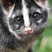 ヒメ日記 2025/12/15 12:49 投稿 あや　奥様 SUTEKIな奥様は好きですか?