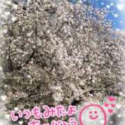 ヒメ日記 2025/03/19 23:35 投稿 聖美【サトミ】 輝女