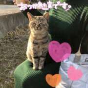 ヒメ日記 2025/03/22 21:22 投稿 聖美【サトミ】 輝女