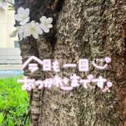 ヒメ日記 2025/04/01 22:06 投稿 聖美【サトミ】 輝女