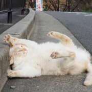 ヒメ日記 2025/07/11 05:48 投稿 聖美【サトミ】 輝女