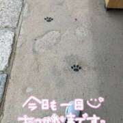 ヒメ日記 2025/07/28 17:30 投稿 聖美【サトミ】 輝女