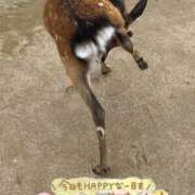 ヒメ日記 2025/10/07 13:13 投稿 聖美【サトミ】 輝女