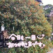 ヒメ日記 2025/10/24 23:08 投稿 聖美【サトミ】 輝女