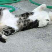 ヒメ日記 2025/10/25 12:08 投稿 聖美【サトミ】 輝女