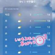 ヒメ日記 2025/12/07 10:04 投稿 聖美【サトミ】 輝女