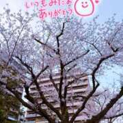 ヒメ日記 2026/04/01 07:50 投稿 聖美【サトミ】 輝女