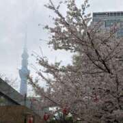 ヒメ日記 2026/04/02 12:45 投稿 聖美【サトミ】 輝女