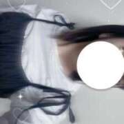 ヒメ日記 2025/05/24 09:27 投稿 さくら ルーフ福井