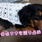 ヒメ日記 2025/02/16 12:00 投稿 まき 熟女総本店 日本橋ミナミエリア店