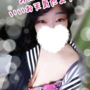 ヒメ日記 2025/03/29 12:36 投稿 まき 熟女総本店 日本橋ミナミエリア店