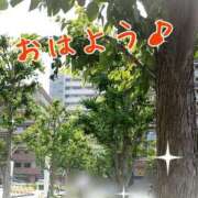 ヒメ日記 2025/05/23 10:56 投稿 まき 熟女総本店 日本橋ミナミエリア店