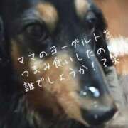 ヒメ日記 2025/08/31 22:14 投稿 まき 熟女総本店 日本橋ミナミエリア店