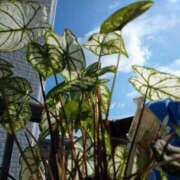 ヒメ日記 2025/09/14 22:06 投稿 まき 熟女総本店 日本橋ミナミエリア店