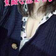 ヒメ日記 2025/11/29 09:36 投稿 まき 熟女総本店 日本橋ミナミエリア店