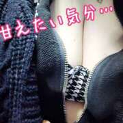 ヒメ日記 2026/01/17 20:16 投稿 まき 熟女総本店 日本橋ミナミエリア店