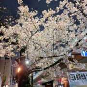 ヒメ日記 2026/04/01 00:46 投稿 まき 熟女総本店 日本橋ミナミエリア店