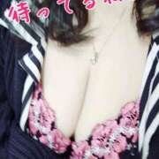 ヒメ日記 2026/04/07 19:36 投稿 まき 熟女総本店 日本橋ミナミエリア店