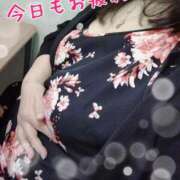 ヒメ日記 2026/05/01 19:56 投稿 まき 熟女総本店 日本橋ミナミエリア店