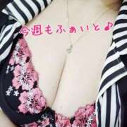 ヒメ日記 2026/06/22 19:56 投稿 まき 熟女総本店 日本橋ミナミエリア店